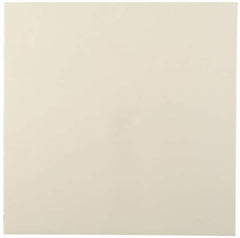 Made in USA - 2' x 24" x 1/2" Tan ABS Sheet - Industrial Tool & Supply