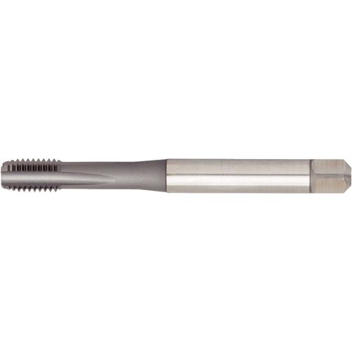 GT405004 M8X1.25 6HX STFL SBOTT 371 - Exact Industrial Supply