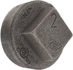 Value Collection - Size 2", Class 150, Malleable Iron Black Pipe Square Plug - 150 psi, Threaded End Connection - Industrial Tool & Supply