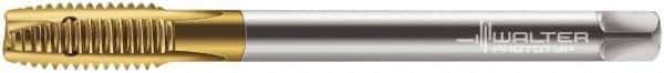 Walter-Prototyp - M20x2.50 Metric, 3 Flute, TiN Finish, Powdered Metal Spiral Point Tap - Plug Chamfer, Right Hand Thread, 140mm OAL, 30mm Thread Length, 16mm Shank Diam, 6H Class of Fit, Series 7026345 - Exact Industrial Supply