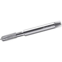 Walter-Prototyp - #6-32 UNC, 3 Flute, Bright Finish, Powdered Metal Spiral Point Tap - Plug Chamfer, Right Hand Thread, 56mm OAL, 12mm Thread Length, 4mm Shank Diam, 3B Class of Fit, Series 22207 - Exact Industrial Supply