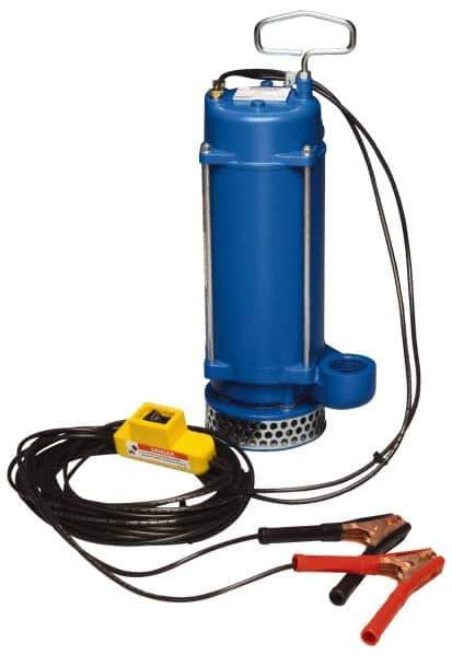 Warren Rupp - 1/3 hp, 12 VDC Amp Rating, 12 VDC Volts, Nonautomatic Operation, Dewatering Pump - Aluminum Housing - Industrial Tool & Supply