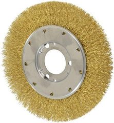 Osborn - 6" OD, 1-1/4" Arbor Hole, Crimped Brass Wheel Brush - 5/8" Face Width, 1-1/8" Trim Length, 0.014" Filament Diam, 6,000 RPM - Industrial Tool & Supply