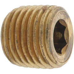 Parker - 1/4 Male Thread, Brass Industrial Pipe Hollow Hex Plug - MNPTF, 1,000 psi - Industrial Tool & Supply