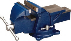 Wilton - 5" Jaw Width, 5" Opening Capacity, 2-1/2" Throat Depth, Steel Swivel Bench Vise - Bolt Down Base Attachment - Industrial Tool & Supply