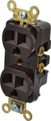 Hubbell Wiring Device-Kellems - 125 VAC, 15 Amp, 5-15R NEMA Configuration, Brown, Industrial Grade, Self Grounding Duplex Receptacle - 1 Phase, 2 Poles, 3 Wire, Flush Mount, Corrosion, Heat and Impact Resistant - Industrial Tool & Supply