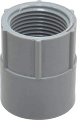 Thomas & Betts - 3/4" Trade, PVC Threaded Rigid Conduit Female Adapter - Insulated - Industrial Tool & Supply