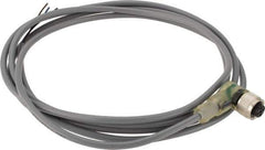 Telemecanique Sensors - 3 Amp, M12 3 Pin Female Straight Cordset Sensor and Receptacle - 30 VAC, 36 VDC, 2m Cable Length, IP67 Ingress Rating - Industrial Tool & Supply