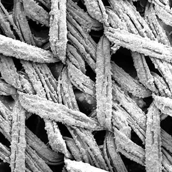 3M - Disc Kits Abrasive Type: Non-Woven Disc Diameter (Inch): 3; 5; 6 - Industrial Tool & Supply