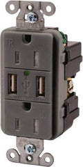 Hubbell Wiring Device-Kellems - 2 USB Port, 2 Receptacle, 125 VAC, 5 VDC USB Receptacle - 5-15R NEMA Configuration, 15 Amp, Gray, 3.8 Amp Charging Power, LED Indicator Light - Industrial Tool & Supply