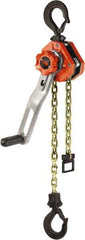 CM - 3,000 Lb Lifting Capacity, 10' Lift Height, Lever Hoist - Made from Chain, 60.7 Lb Avg Pull to Lift Rated Load, 1 Chain - Industrial Tool & Supply