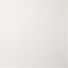 Genesis - Pack of 12 Stucco Pro 23-3/4" x 23-3/4" x 0.197" Vinyl Ceiling Tiles - Industrial Tool & Supply