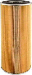 Hastings - Automotive Hydraulic Filter - AC Delco PF218, Allis Chalmers 40494962, Donaldson P551336, Fram FH58PL - Fram FH58PL, GMC 5578395, Hastings PT119, Purolator P259, Wix CW58MP - Industrial Tool & Supply