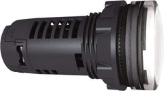 Schneider Electric - 24 V White Lens LED Pilot Light - Industrial Tool & Supply