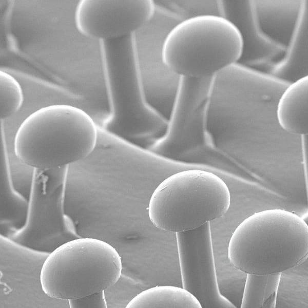 3M - 7" Diam Hook & Loop Disc Backing Pad - 6,000 RPM - Industrial Tool & Supply