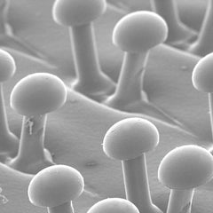 3M - 7" Diam Hook & Loop Disc Backing Pad - 6,000 RPM - Industrial Tool & Supply