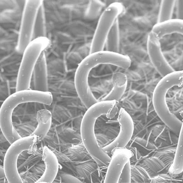 3M - 6" Diam Hook & Loop Disc Backing Pad - 12,000 RPM - Industrial Tool & Supply