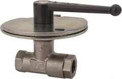 Legris - 1" Pipe, Female Port, Nickel Plated Brass Standard Ball Valve - Inline - One Way Flow, FBSPP x FBSPP Ends, Lever Handle, 580 WOG - Industrial Tool & Supply