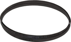 Lenox - 10 to 14 TPI, 13' 3" Long x 1/2" Wide x 0.025" Thick, Welded Band Saw Blade - Bi-Metal, Toothed Edge, Modified Raker Tooth Set, Flexible Back, Contour Cutting - Industrial Tool & Supply