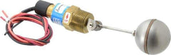 Thomas Products Ltd. - 1" Thread, 900 Max psi, 300°F Max, Liquid Level Side Mounted Float Switches - Brass Stem - Industrial Tool & Supply