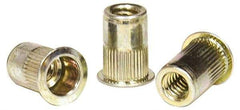 RivetKing - 0.02 to 0.13" Grip, Steel Standard Rivet Nut - Zinc Yellow Dichromate Finish, Full Head Head - Industrial Tool & Supply