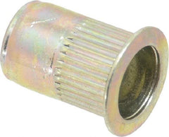 RivetKing - 0.02 to 0.13" Grip, Steel Standard Rivet Nut - Zinc Yellow Dichromate Finish, Full Head Head - Industrial Tool & Supply