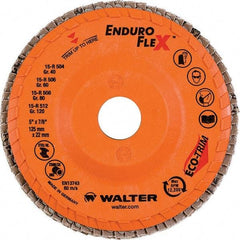 WALTER Surface Technologies - 80 Grit, 5" Disc Diam, 7/8" Center Hole, Type 28 Ceramic Flap Disc - 12,200 Max RPM, Plastic Backing, Arbor Attaching System, Coated - Industrial Tool & Supply