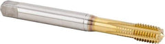Kennametal - M10x1.50 Metric Coarse 6HX Modified Bottoming Thread Forming Tap - Powdered Metal High Speed Steel, TiN Finish, 100mm OAL, 16mm Thread Length, Right Hand Thread, Series T622 - Industrial Tool & Supply
