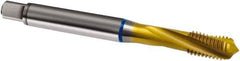 Guhring - M3x0.50 Metric 3 Flute 6H Modified Bottoming Spiral Flute Tap - Cobalt, TiN Finish, 56mm OAL, Right Hand Flute, Right Hand Thread, D2/D3, Series 2896 - Exact Industrial Supply