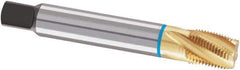 Guhring - 1/4-18 NPTF, 25° Helix, 5 Flutes, Modified Bottoming Chamfer, TiN Finish, Cobalt, Spiral Flute Pipe Tap - 14mm Shank Diam, 0.8268" Projection, 11mm Square Size, Series 4127 - Exact Industrial Supply