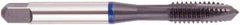 Regal Cutting Tools - 1/4-28 UNF, 3 Flute, Oxide Finish, Vanadium High Speed Steel Spiral Point Tap - Plug Chamfer, Right Hand Thread, 2-1/2" OAL, 0.591" Thread Length, 0.255" Shank Diam, 3B Class of Fit, Series Triple Crown - Exact Industrial Supply