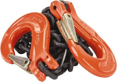 Pewag - 5' Long, 3,500 Lb Basket Capacity, 3,500 Lb Vertical Capacity, Alloy Steel Web Sling - SSS Chain Sling, 9/32" Diam Chain, Silver (Color), with 2 Sling Hooks - Industrial Tool & Supply