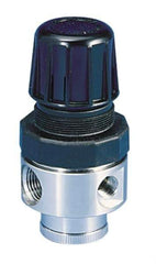 Parker - 1/2 NPT Port, 80 CFM, Stainless Steel Standard Regulator - 0 to 125 psi Range, 300 Max psi Supply Pressure, 1/4" Gauge Port Thread, 2.43" Wide x 4.97" High - Industrial Tool & Supply