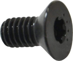 Camcar - 5/16-18 UNC Torx Plus Drive, 82° Flat Screw - Alloy Steel, Black Oxide Finish, Fully Threaded, 5/8" OAL - Industrial Tool & Supply