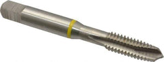 Guhring - 5/16-18 UNC, 3 Flute, Bright Finish, Cobalt Spiral Point Tap - Plug Chamfer, Right Hand Thread, 2.72" OAL, 0.71" Thread Length, 0.318" Shank Diam, 2B Class of Fit, Series 3901 - Exact Industrial Supply