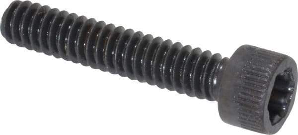 Camcar - #10-24 UNC Torx Plus Drive, Socket Cap Screw - Alloy Steel, Black Oxide Finish, Fully Threaded, 1" Length Under Head - Industrial Tool & Supply