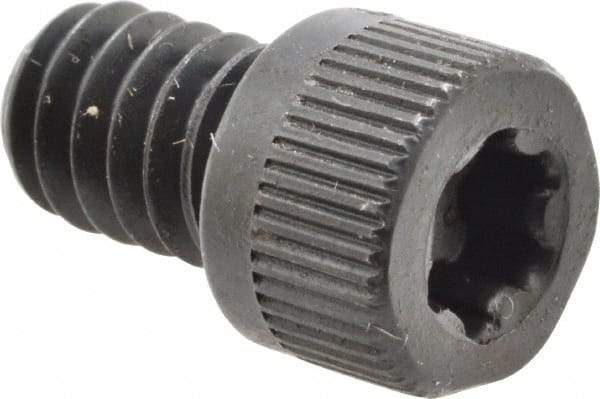 Camcar - 1/4-20 UNC Torx Plus Drive, Socket Cap Screw - Alloy Steel, Black Oxide Finish, Fully Threaded, 3/8" Length Under Head - Industrial Tool & Supply