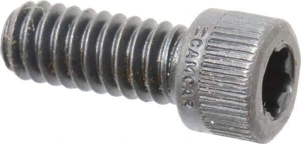 Camcar - 1/4-20 UNC Torx Plus Drive, Socket Cap Screw - Alloy Steel, Black Oxide Finish, Fully Threaded, 5/8" Length Under Head - Industrial Tool & Supply