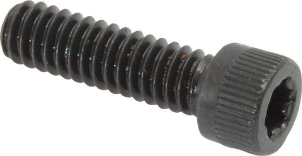 Camcar - 1/4-20 UNC Torx Plus Drive, Socket Cap Screw - Alloy Steel, Black Oxide Finish, Fully Threaded, 7/8" Length Under Head - Industrial Tool & Supply