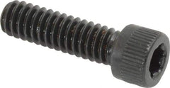 Camcar - 1/4-20 UNC Torx Plus Drive, Socket Cap Screw - Alloy Steel, Black Oxide Finish, Fully Threaded, 7/8" Length Under Head - Industrial Tool & Supply