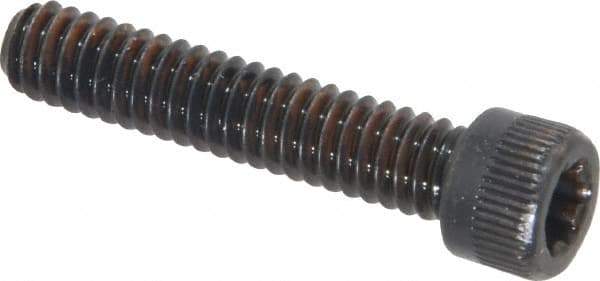 Camcar - 1/4-20 UNC Torx Plus Drive, Socket Cap Screw - Alloy Steel, Black Oxide Finish, Fully Threaded, 1-1/4" Length Under Head - Industrial Tool & Supply