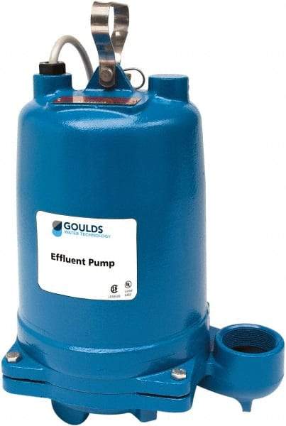 Goulds Pumps - 1 hp, 575 Amp Rating, 575 Volts, Single Speed Continuous Duty Operation, Effluent Pump - 3 Phase, Cast Iron Housing - Industrial Tool & Supply