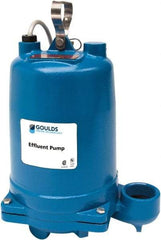 Goulds Pumps - 1 hp, 575 Amp Rating, 575 Volts, Single Speed Continuous Duty Operation, Effluent Pump - 3 Phase, Cast Iron Housing - Industrial Tool & Supply