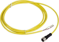 Telemecanique Sensors - 4 Amp, 1/2-20 UNF 3 Pin Female Straight Cordset Sensor and Receptacle - 250 VAC, 300 VDC, 2m Cable Length, IP67 Ingress Rating - Industrial Tool & Supply
