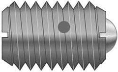 Vlier - M12x1.75, 8mm Ball Diam, 22mm Body Length, 2.5mm Max Ball Reach, Threaded Ball Plunger - Stainless Steel Body, Nylon Ball, 2.25 Lb Initial End Force, 4.5 Lb Final End Force, Locking Element - Industrial Tool & Supply