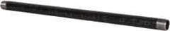 B&K Mueller - Schedule 40, 1" Diam x 24" Long Steel Black Pipe Nipple - Threaded - Industrial Tool & Supply