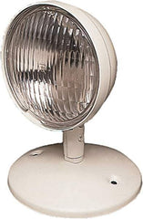 Mule - 1 Head, 12 VDC, Polycarbonate, Incandescent Remote Emergency Lighting Head - 9 Watt, Battery Not Included - Industrial Tool & Supply