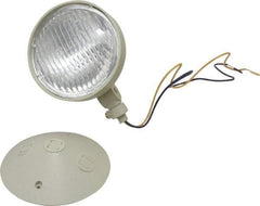 Mule - 1 Head, 12 VDC, Polycarbonate, Incandescent Remote Emergency Lighting Head - 25 Watt, Battery Not Included - Industrial Tool & Supply