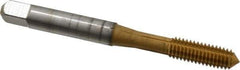 Accupro - M6x1.00 Metric Coarse D8 Thread Limit Plug Thread Forming Tap - Powdered Metal High Speed Steel, TiN Finish, 2-1/2" OAL - Exact Industrial Supply