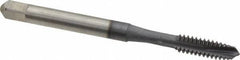 Accupro - #10-24 UNC, 3 Flute, TiCN Finish, Powdered Metal Spiral Point Tap - Plug Chamfer, Right Hand Thread, 2-3/8" OAL, 2B/3B Class of Fit - Exact Industrial Supply